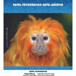 Papel Fotográfico Adesivo A4 Glossy 130g 50folhas Masterprin - Branco