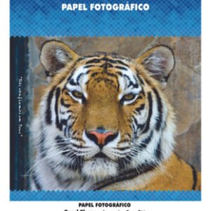 50 Folhas Masterprint 230g A4 Glossy Papel Fotografico - Branco